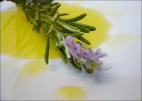 Recetas caseras : Aceite arom�tico de romero 