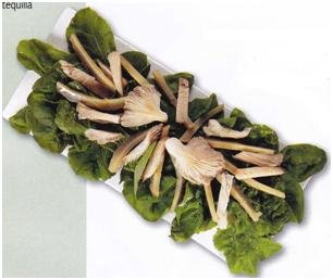 Recetas caseras : Ensalada belga 