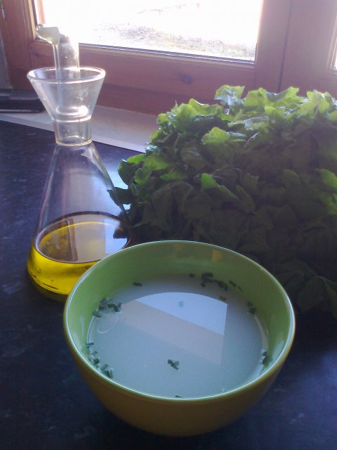 Recetas caseras : Crema de hojas verdes de  lechuga 