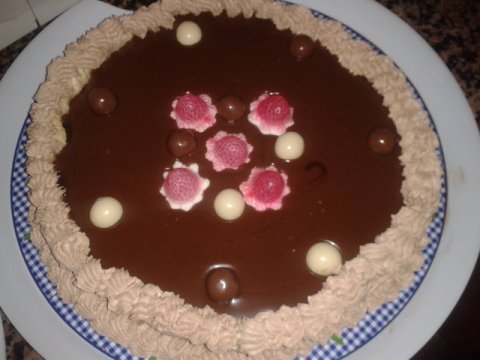 Recetas caseras : Pastel de chocolate  malague�o 