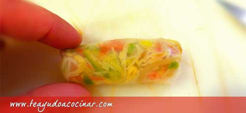 PROCESO-ROLLITO-VIETNAMITA