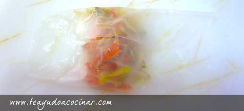 PROCESO-ROLLITOS-VIETNAMITA