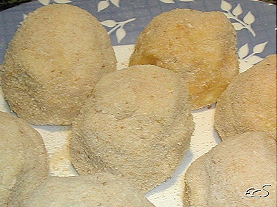 DSCN4135